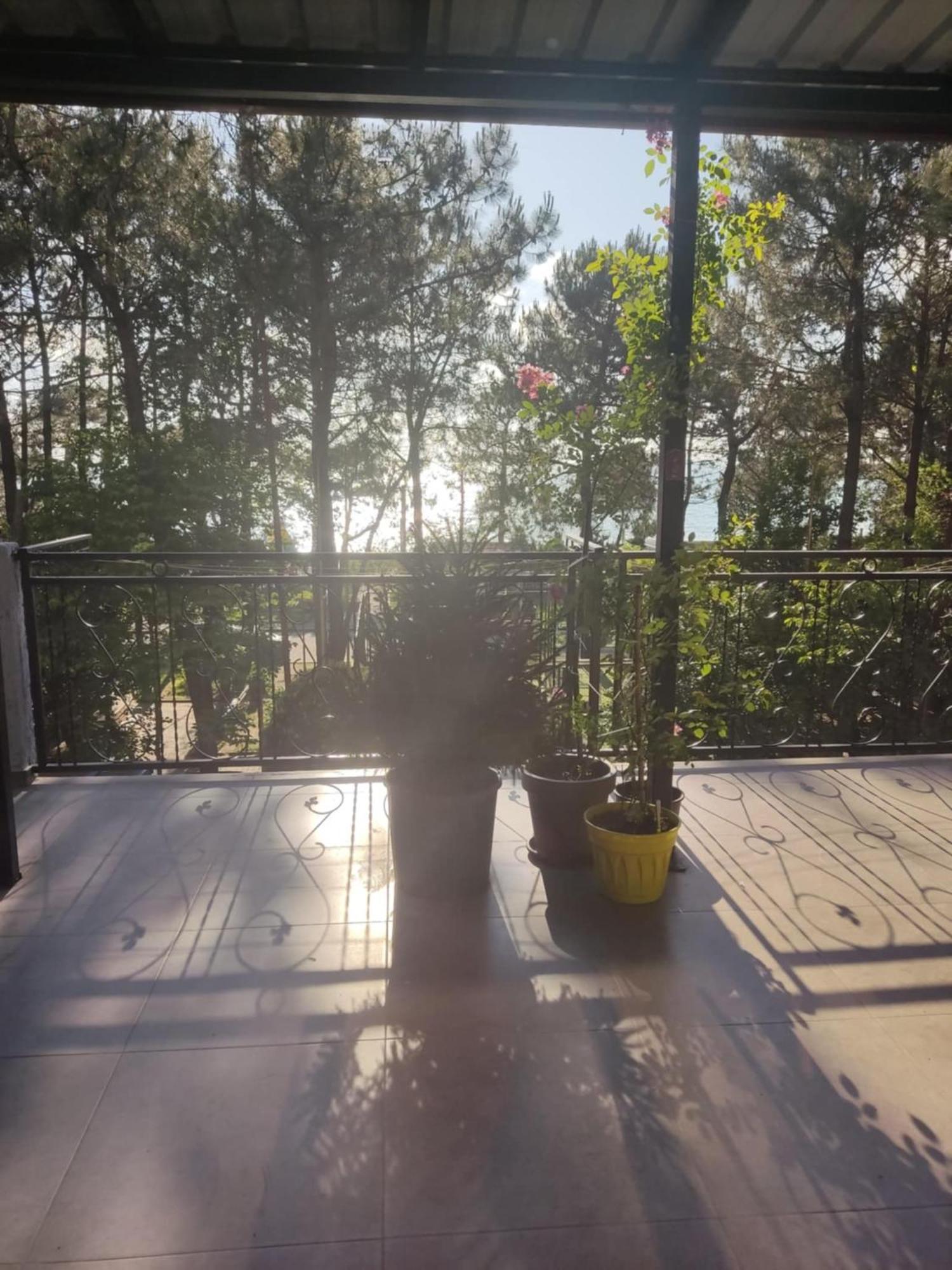 Apartment Agmashenebeli 99 Kobuleti Εξωτερικό φωτογραφία